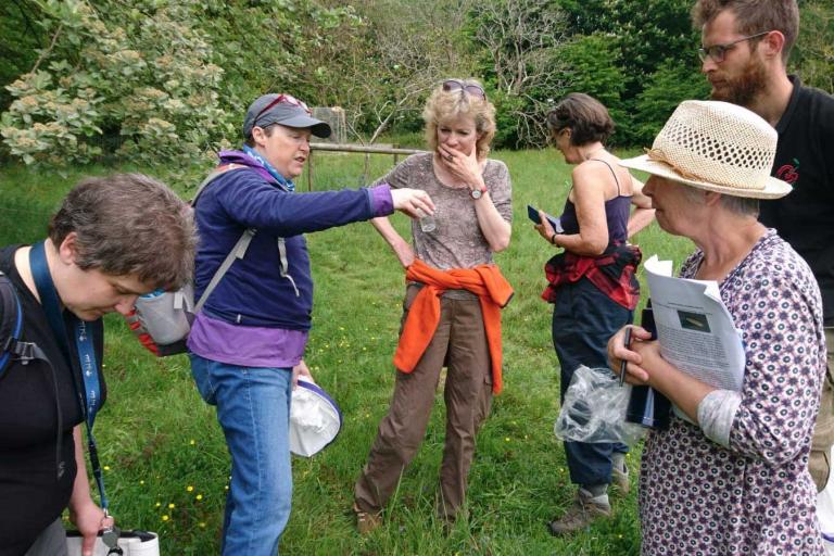 group of people gathered outside to look at an insect in a collection pot