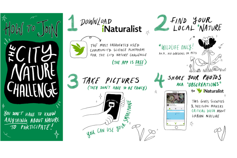iNaturalist instructions