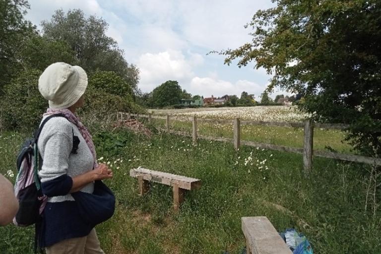 A person wearing a light-colored hat, scarf, and sweater with a backpack stands in a grassy area near a wooden bench, looking out over a field of wildflowers bordered by a wooden fence. Trees and bushes surround the area, and houses are visible in the distance under a partly cloudy sky.