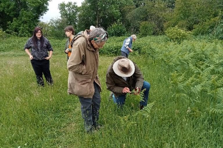 Several people are standing and crouching in a grassy, green field surrounded by trees and shrubs. One person is kneeling and closely examining or picking plants, while others observe or look at the ground.