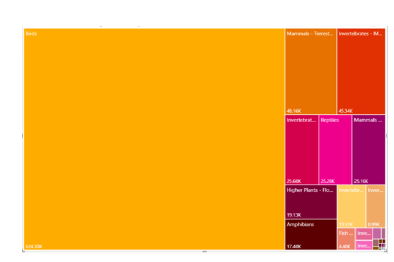 A colorful treemap chart visualising the number of species in different animal and plant groups. 