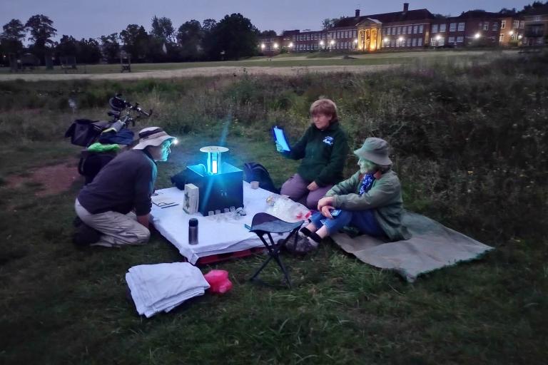 Moth trapping at Milham Ford