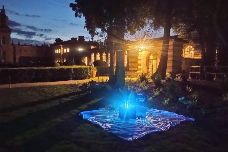 A moth trap set underneath a tree at Blenheim Palace