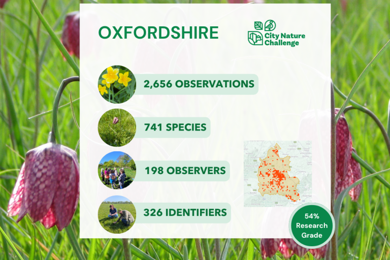 Oxfordshire City Nature Challenge 2026 results