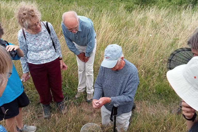 Participants gather in a grassland meadow as one person kneels to examine and demonstrate a small wildlife specimen while others look on during a noticing nature event.