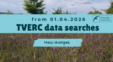 Data search increase 